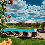 Stanzia Cocci بروتونيغلا