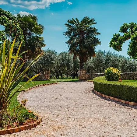 Stanzia Cocci Brtonigla