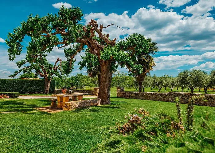 Stanzia Cocci * 브르토니글라