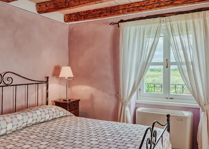 Stanzia Cocci * 브르토니글라